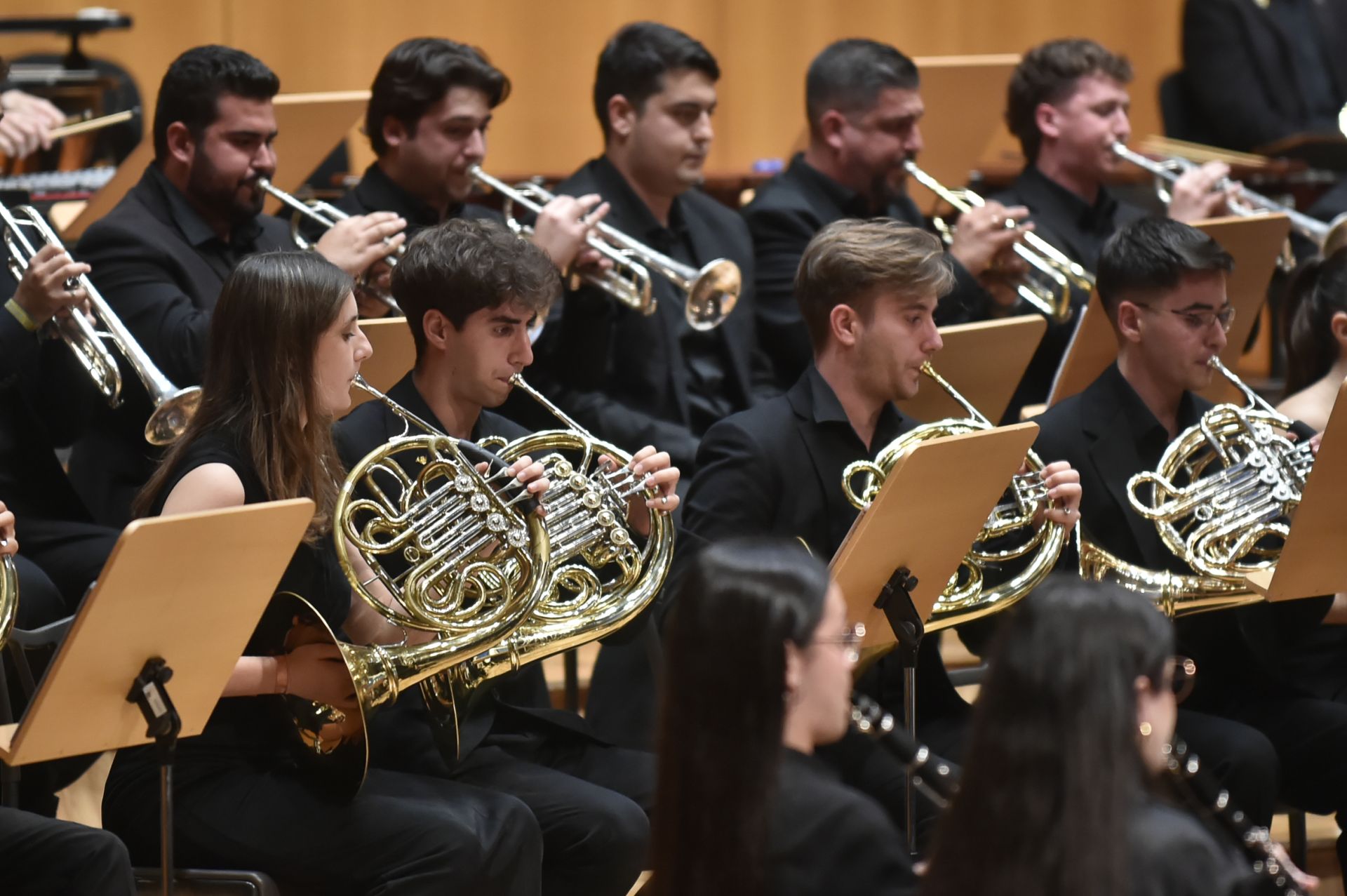 Las imágenes del XV Concierto Solidario Rotary