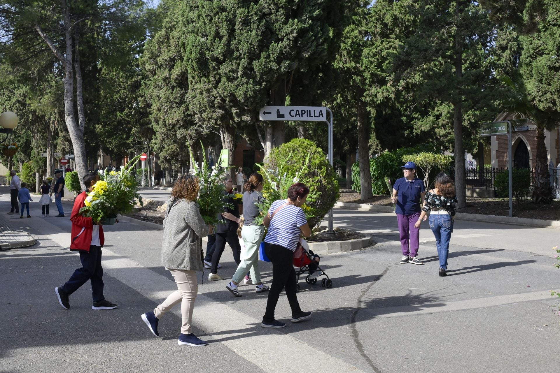 La festividad de Todos los Santos en Murcia, en imágenes