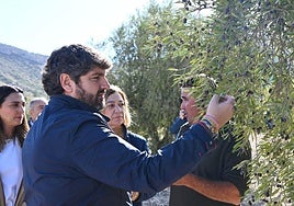 López Miras, durante la visita este miércoles en Jumilla de una finca de olivos de secano.