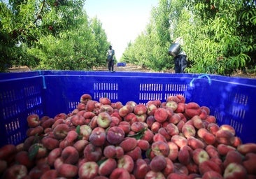La UE no aplazará el cierre de acuíferos en la cuenca del Segura pero será flexible con sus exigencias ambientales