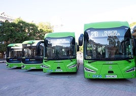 Presentación de la nueva flota de autobuses eléctricos de Murcia, este viernes.