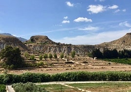 Eliminación de arbolado productivo en septiembre de la histórica Huerta de Darrax, en suelo no urbanizable para su transformación en complejo turístico en una superficie de 8,20 ha (73,3 tahúllas).