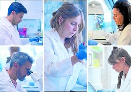 Del cáncer al envejecimiento, dianas del Laboratorio de Biología Molecular UCAM