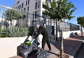Un vecino de Guadalupe recoge basura y otros restos vegetales frente a su edificio.