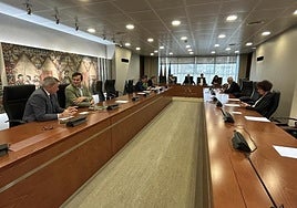 La Comisión Especial de Investigación, este lunes, en la Asamblea Regional.