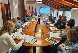 La reunión de la Mesa Local de Coordinación de Violencia de Género que tuvo lugar en dependencias municipales del edificio del Palacio de los Uribe.
