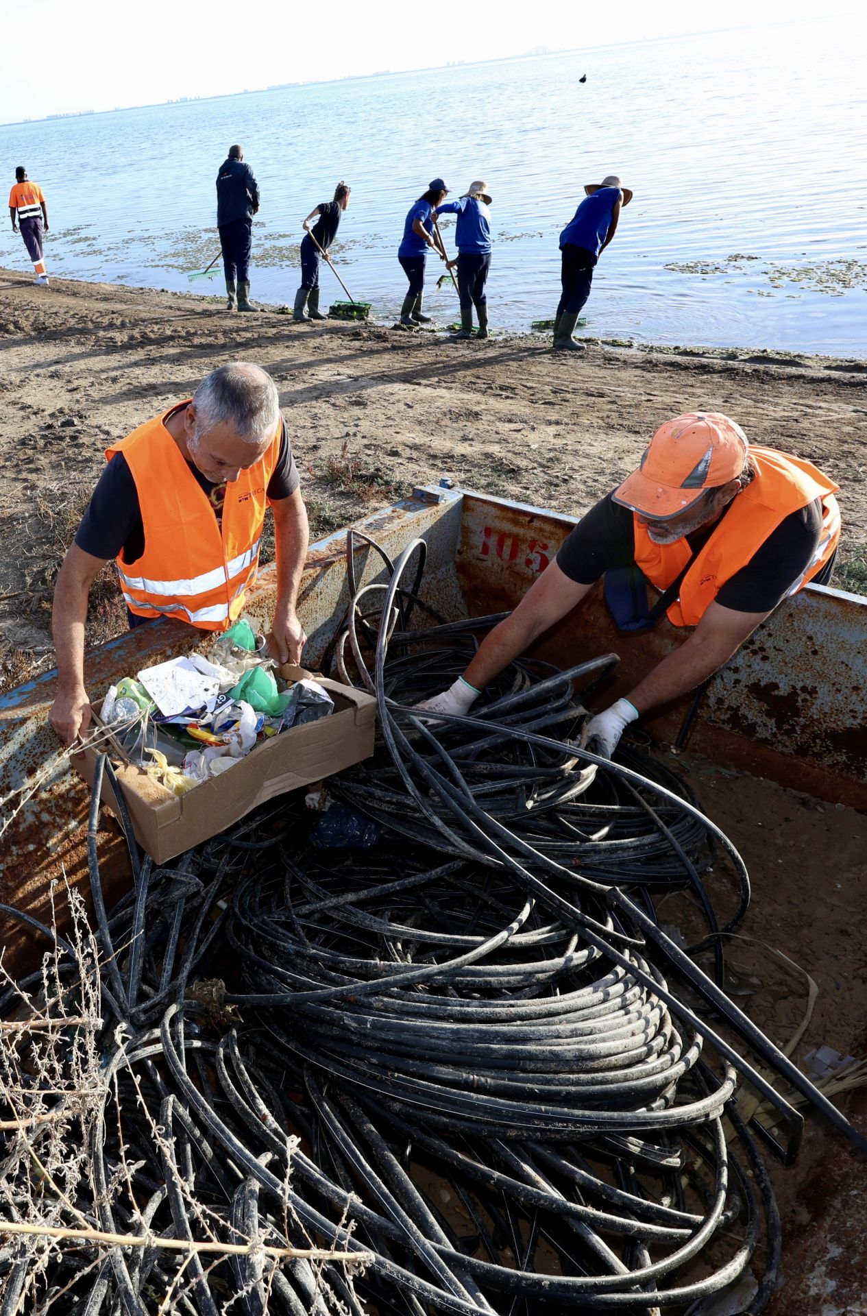 La recogida de basura en el paraje natural Menhir del Rame, en el Mar Menor, en imágenes