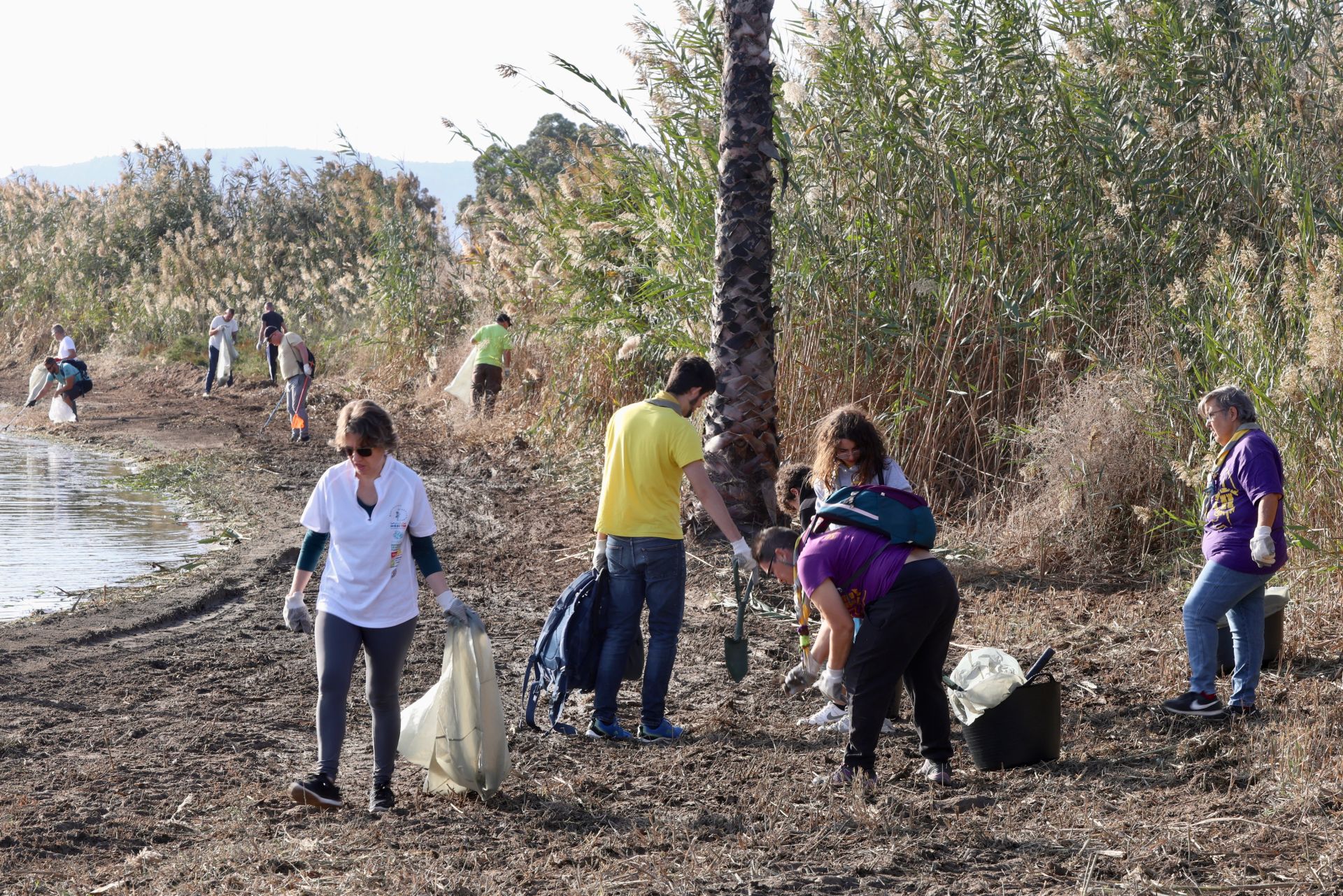 La recogida de basura en el paraje natural Menhir del Rame, en el Mar Menor, en imágenes