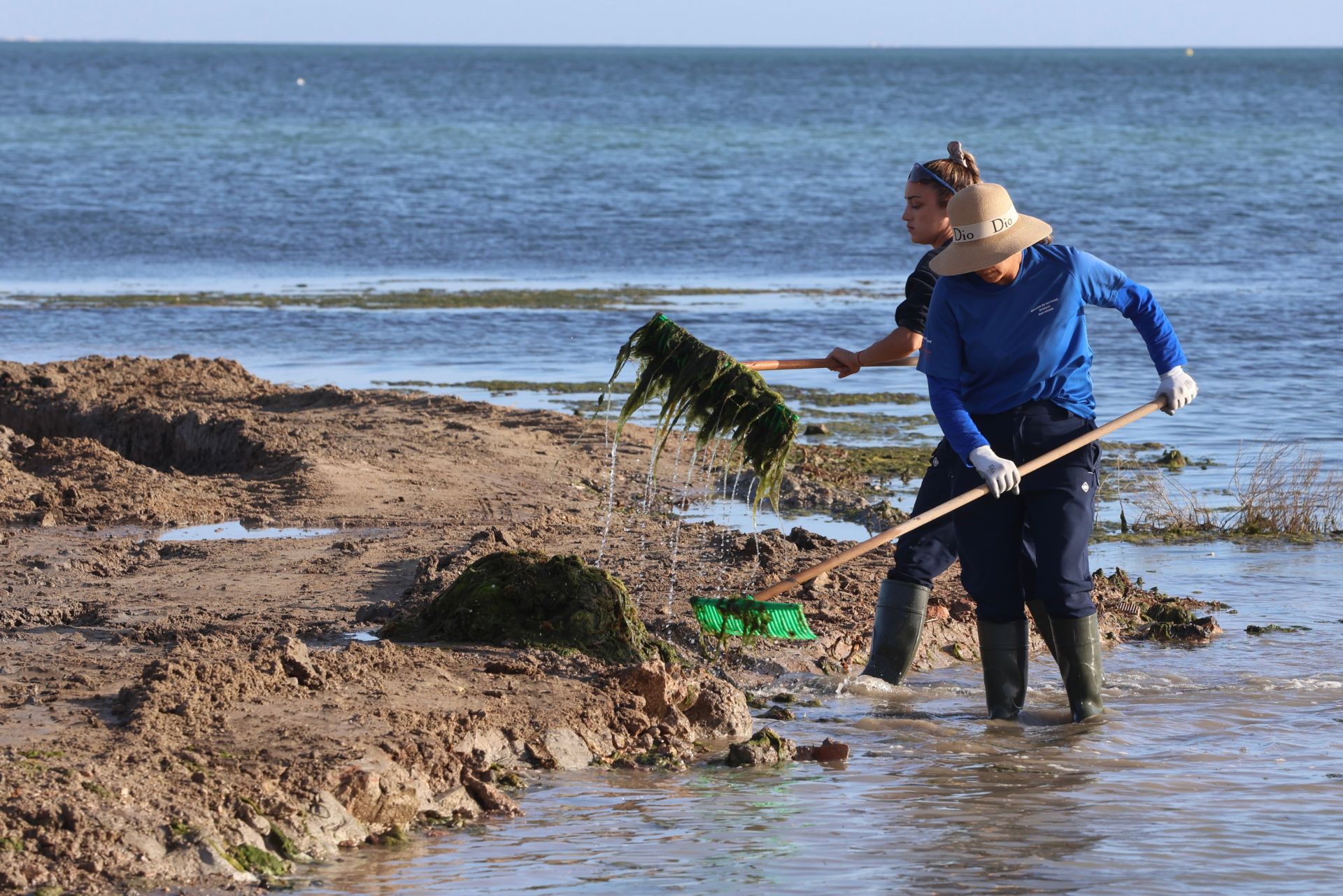La recogida de basura en el paraje natural Menhir del Rame, en el Mar Menor, en imágenes