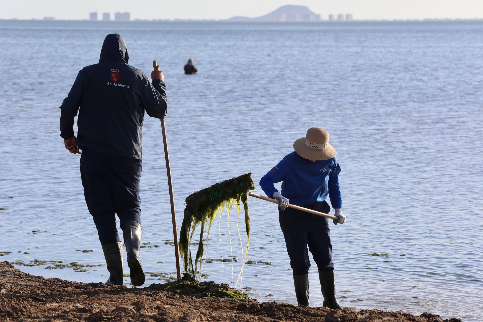La recogida de basura en el paraje natural Menhir del Rame, en el Mar Menor, en imágenes