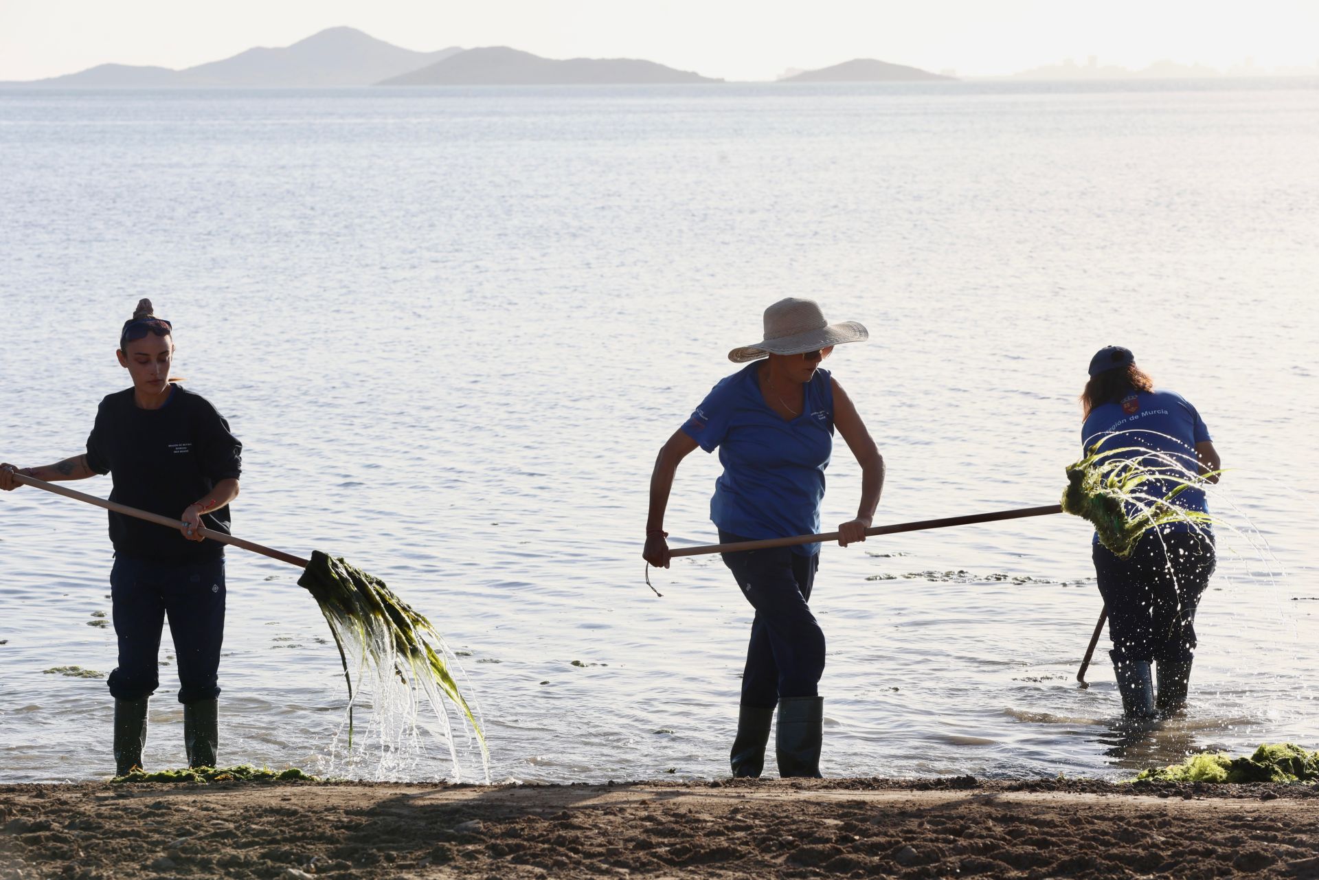La recogida de basura en el paraje natural Menhir del Rame, en el Mar Menor, en imágenes
