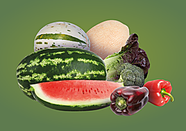 Sandía ovalada y alcachofa gourmet: así reinventa la Región de Murcia sus frutas y verduras