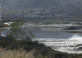 Balsa en los terrenos de la antigua fábrica de Zinsa, este martes.