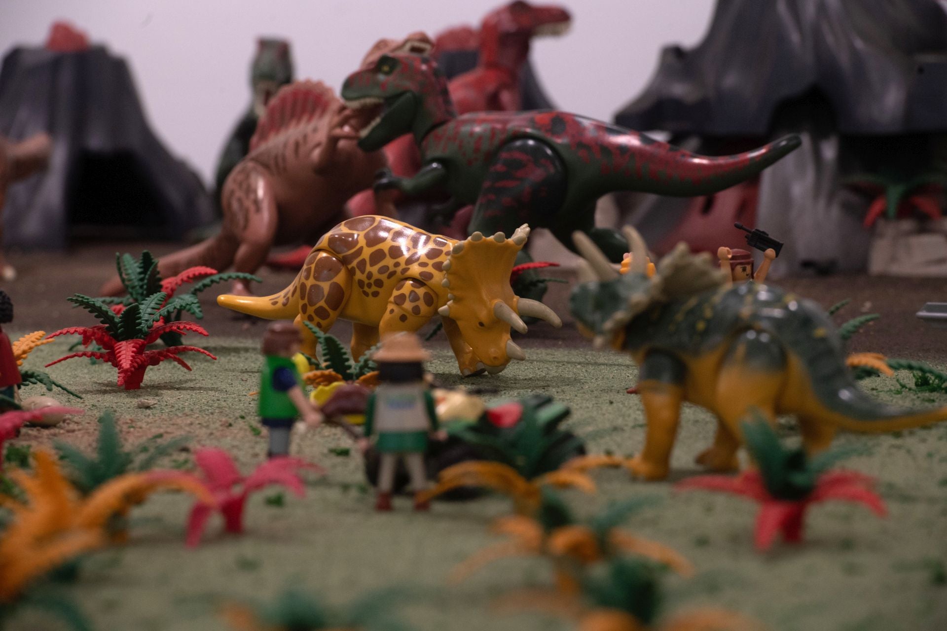 La colección de Playmobil en Molina de Segura, en imágenes