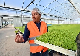 Hassen Merdassi, jefe de proyectos agrícolas de Florette, ayer, en la finca de Roldán.