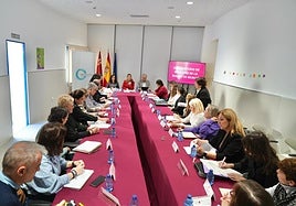 Reunión en el Pleno del Observatorio de Igualdad de la Región de Murcia, este viernes.