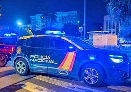 Imagen de la operación llevada a cabo por agentes de la Policía Nacional.