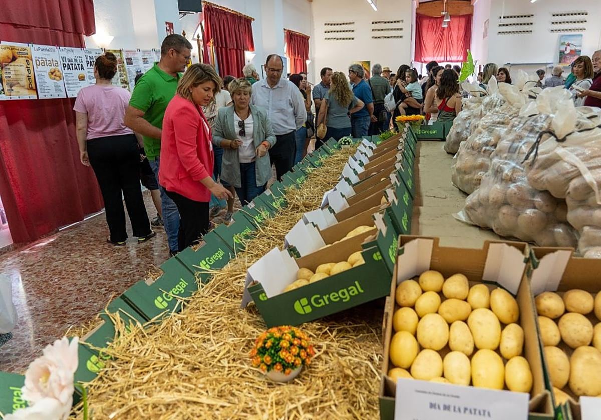 Primera Feria de Tradiciones y Campo de Cartagena.