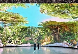 Una de las pantallas de realidad aumentada del grupo.