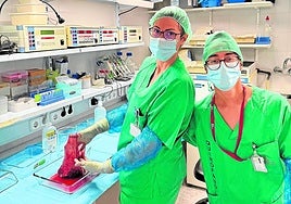 El investigador Marc Alcaraz (derecha) durante una extraccion de células en el laboratorio.