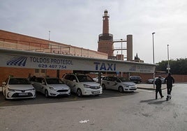 Varios taxis esperan la llegada de viajeros en la parada situada frente a la estación de autobuses de Cartagena.