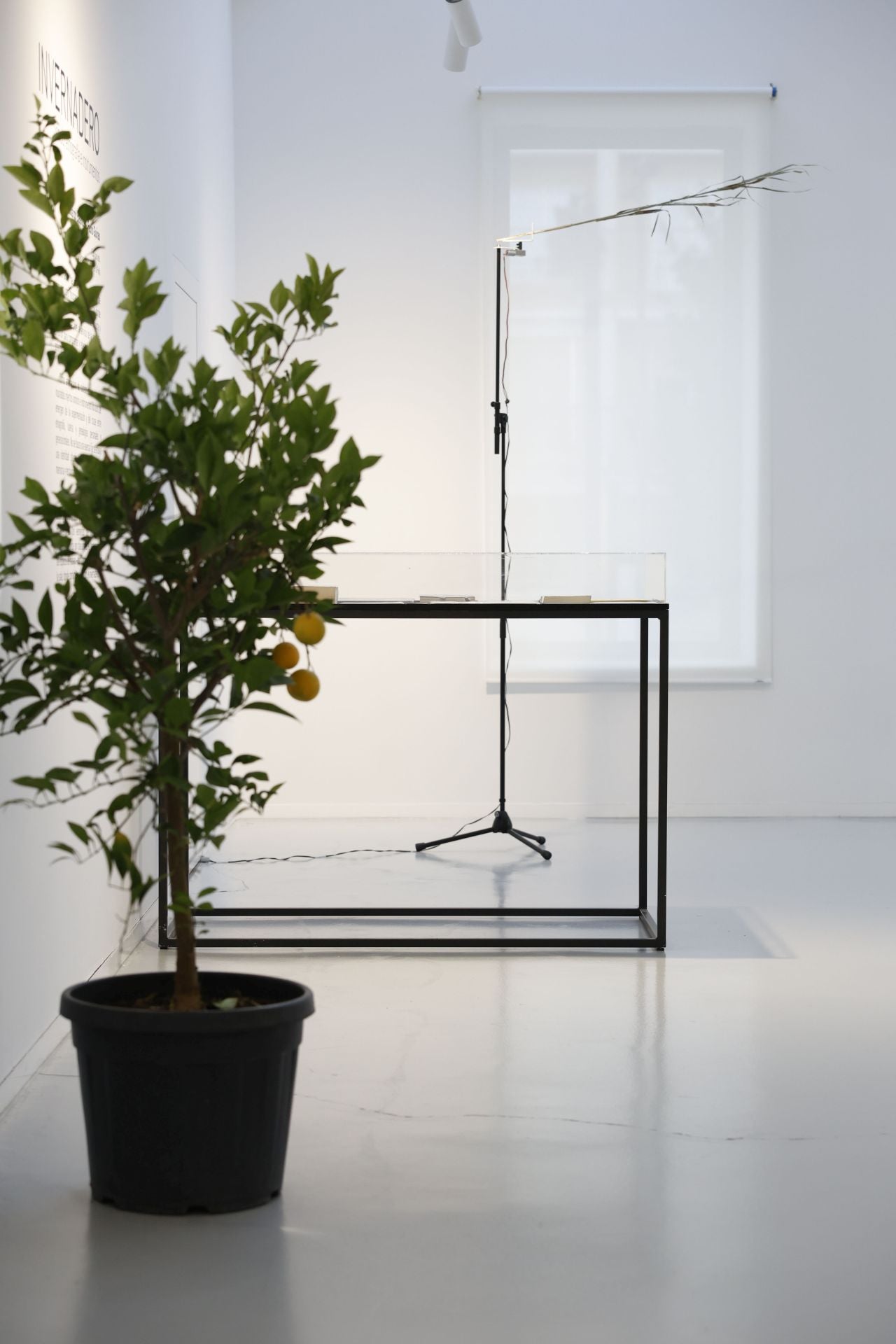 La exposición &#039;Invernadero&#039; en la Cárcel Vieja de Murcia, en imágenes