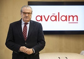 Luis Martínez de Salas: «Aválam combina el carácter de entidad financiera con acompañamiento estratégico al tejido empresarial»