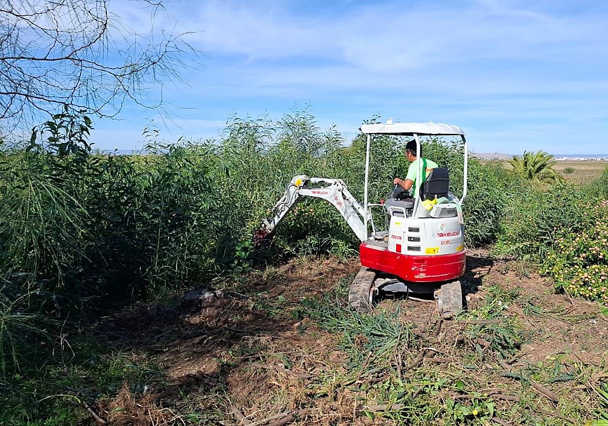 El Gobierno regional inicia la restauración integral de El Carmolí para proteger la biodiversidad y avanza en la renaturalización del Mar Menor