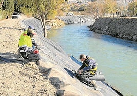 Un operario ejecuta trabajos contra la caña invasora en los márgenes del río Segura.