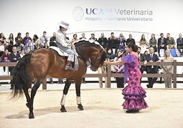 La inauguración del Hospital Veterinario de la UCAM, en imágenes