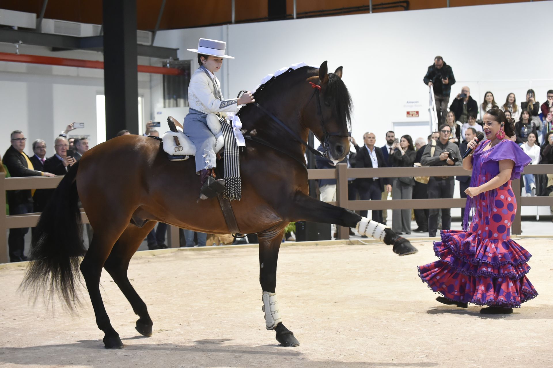 La inauguración del Hospital Veterinario de la UCAM, en imágenes