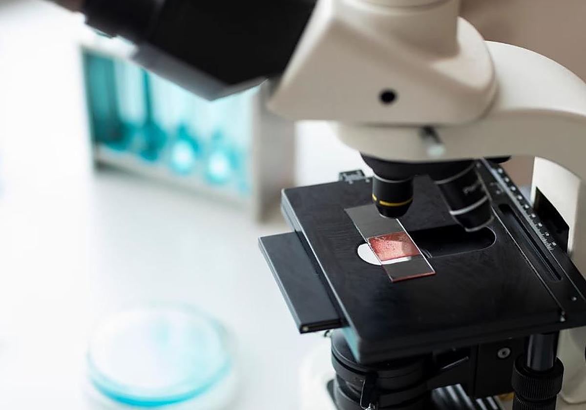 La ciencia que hay detrás del «vómito» de los residuos celulares