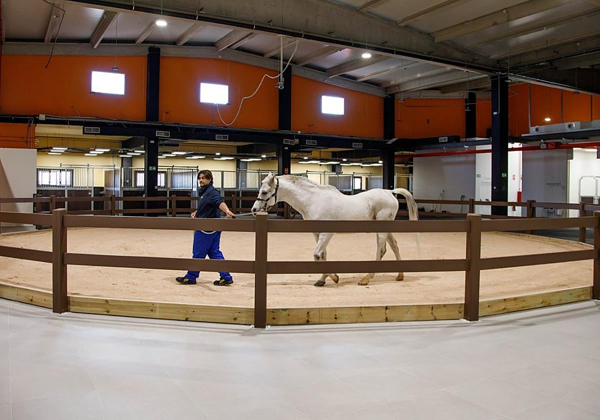 Atención clínica las 24 horas al servicio de toda la sociedad