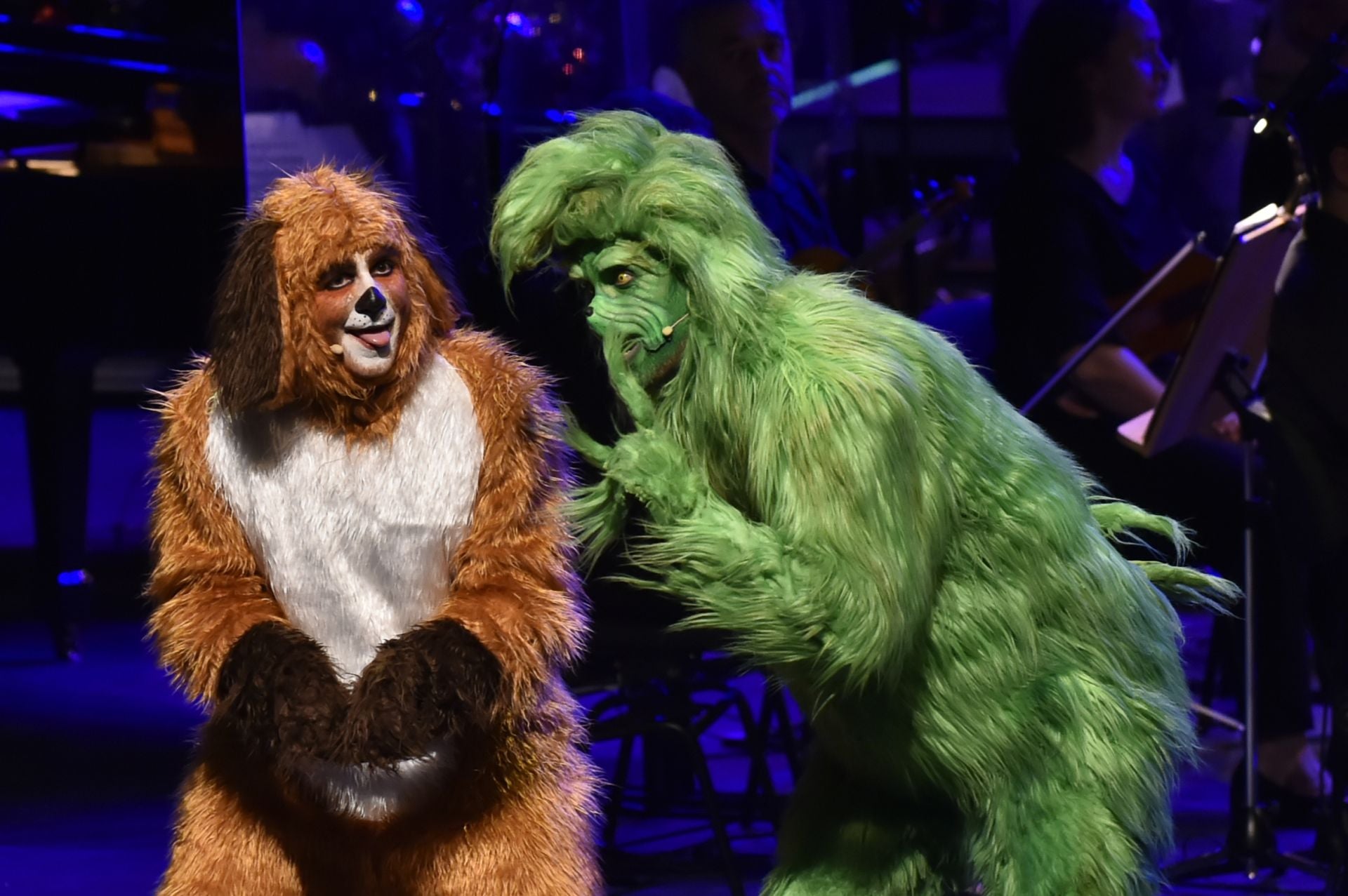 &#039;El Grinch&#039; más sensacional en Murcia