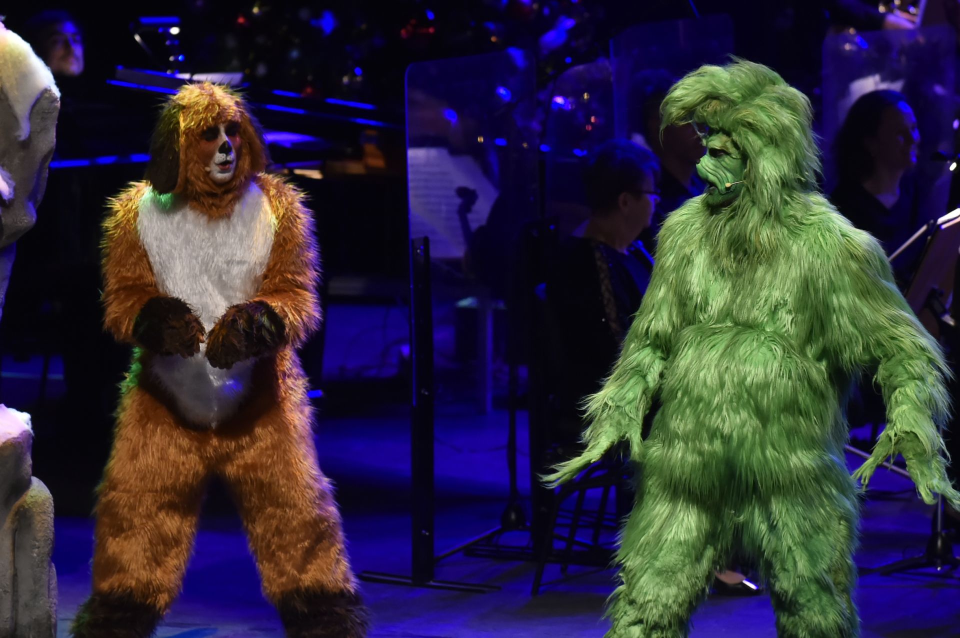 &#039;El Grinch&#039; más sensacional en Murcia