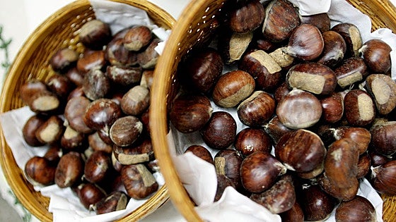 Castañas, símbolo del otoño y del frío