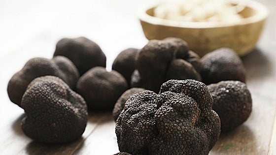 La trufa, el diamante negro