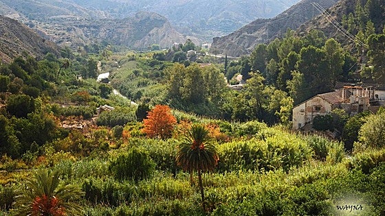 Wayna Miñano inmortaliza «los pequeños espacios que aún conservan su encanto» en el Valle de Ricote