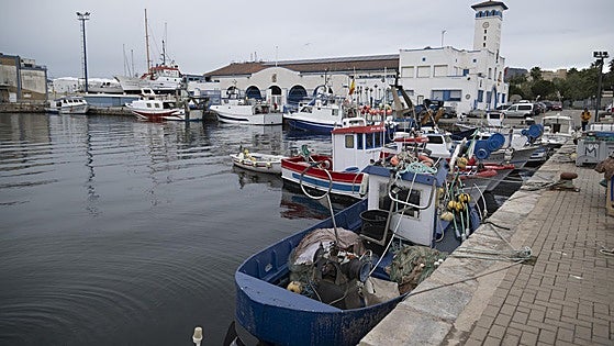 Pesca de gamba roja con menos limitaciones para los arrastreros de la Región de Murcia este año