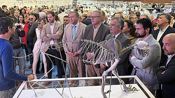 La Feria de Minerales y Fósiles de La Unión exhibe los restos del lince ibérico más antiguo hallado hasta la fecha