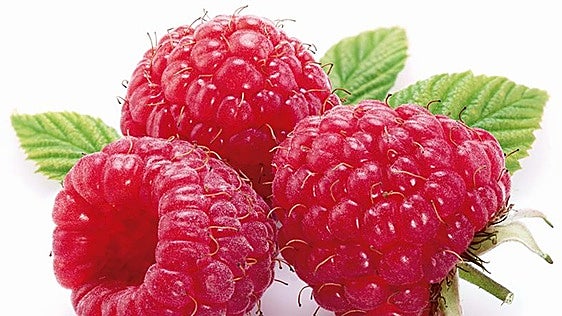 La frambuesa, la fruta de los dioses