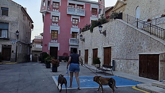 Orden contra los orines de perros y gatos en Ulea