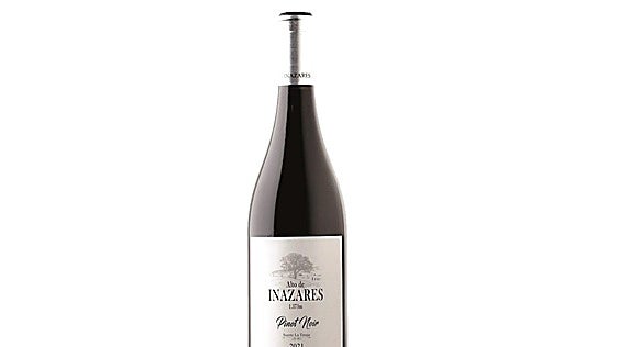 Alto de Inazares Pinot Noir 2021, expresión y alta montaña