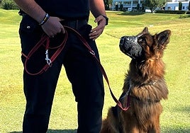 a empresa cuenta con su propia unidad canina.