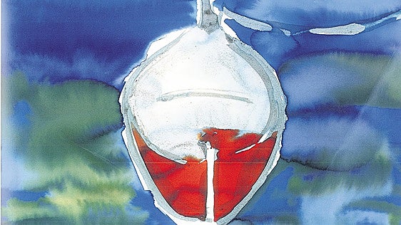 Cáscaras de pipas
