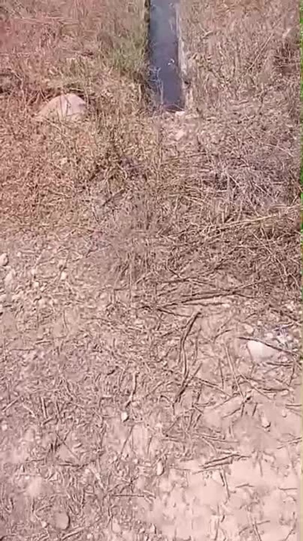 Denuncian vertidos de Tara en el campo
