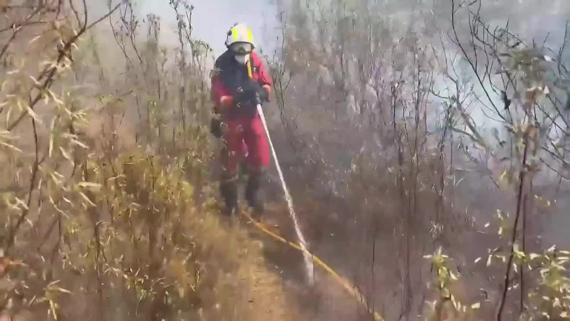 El incendio de Niebla (Huelva) recorre 28.000 hectáreas aunque "se frena" su crecimiento