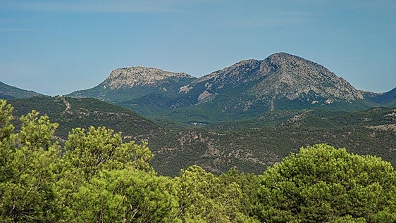 Más bosque, más peligro y más potencial que nunca