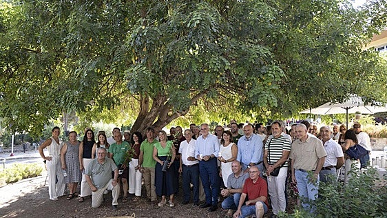 El Campo de Cartagena impulsa una nueva industria de la garrofa