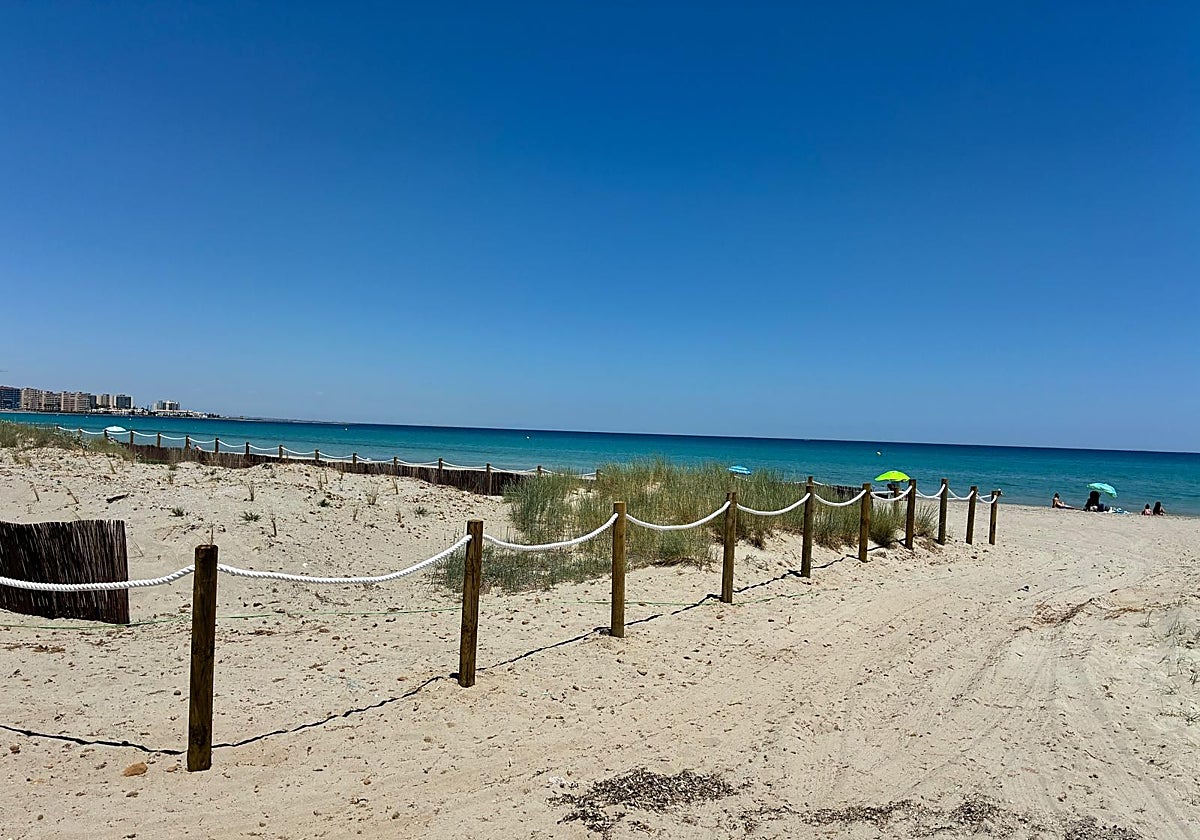 Una zona con dunas restauradas.